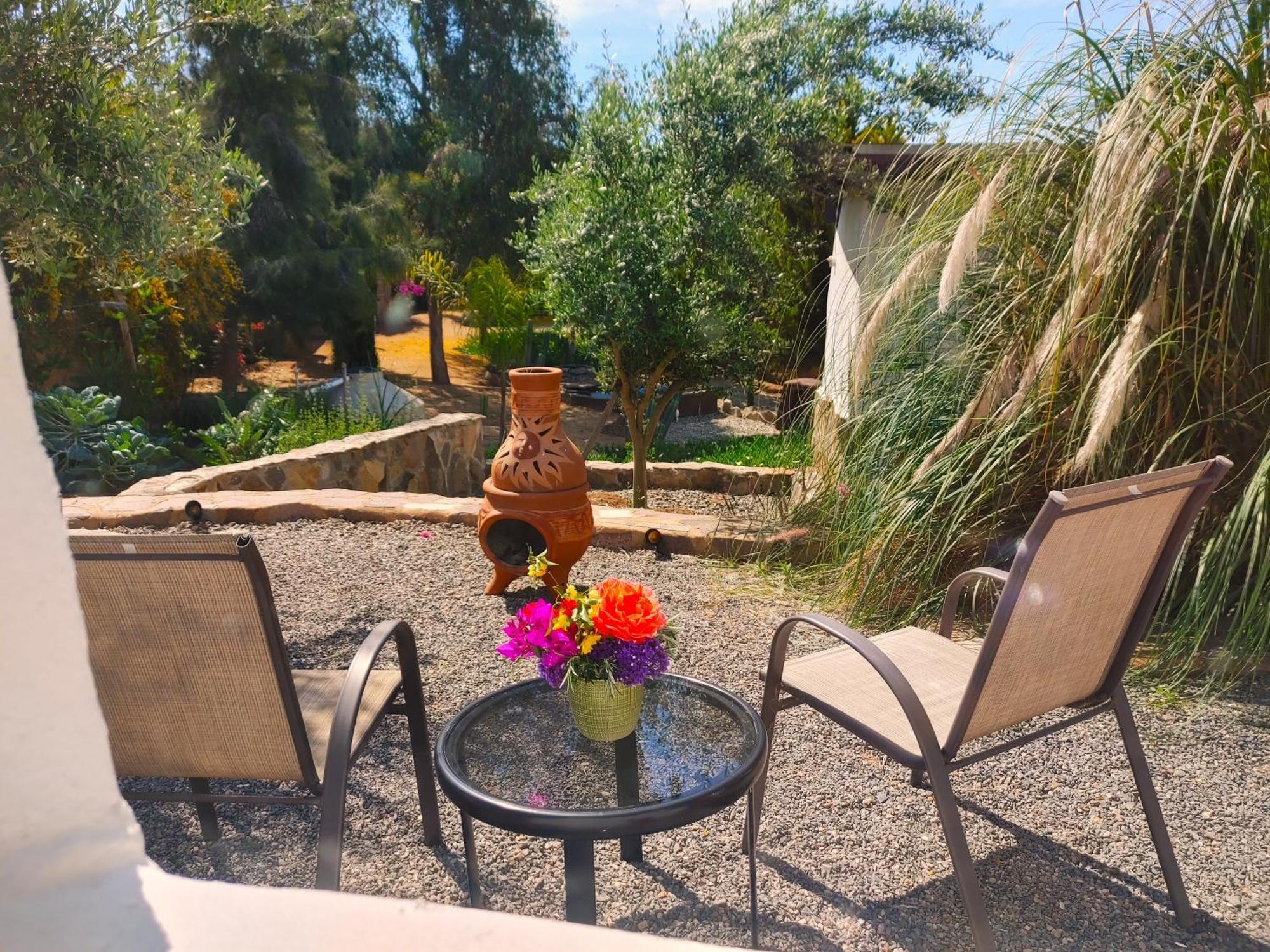 Villa Hacienda Eco-Domes Valle de Guadalupe Exterior foto