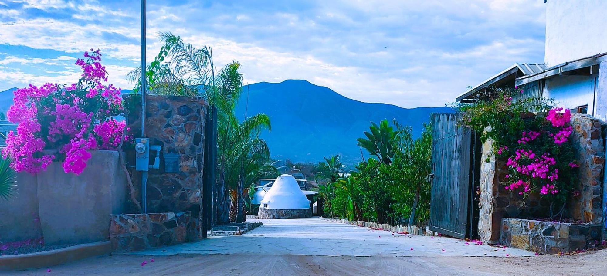 Villa Hacienda Eco-Domes Valle de Guadalupe Exterior foto